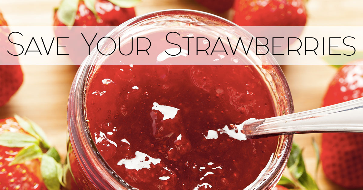 Saving Your Strawberries
