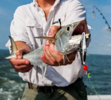 Ocean Isle Beach Fishing Charter | Williamson Realty Vacations Ocean Isle Beach Vacation Rentals