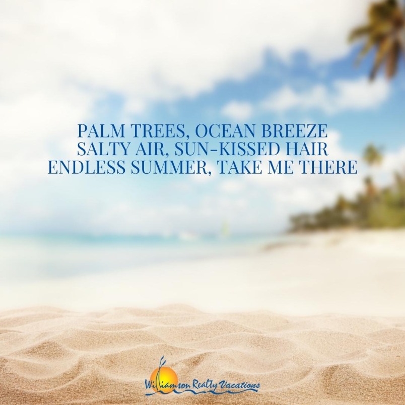 Palm trees, ocean breeze. Salty air, sun-kissed hair. Endless summer, take me there.