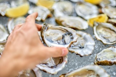 Oysters | Williamson Realty