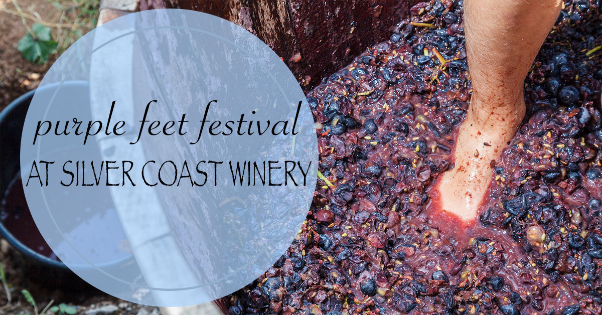 Purple Feet Festival at Silver Coast Winery