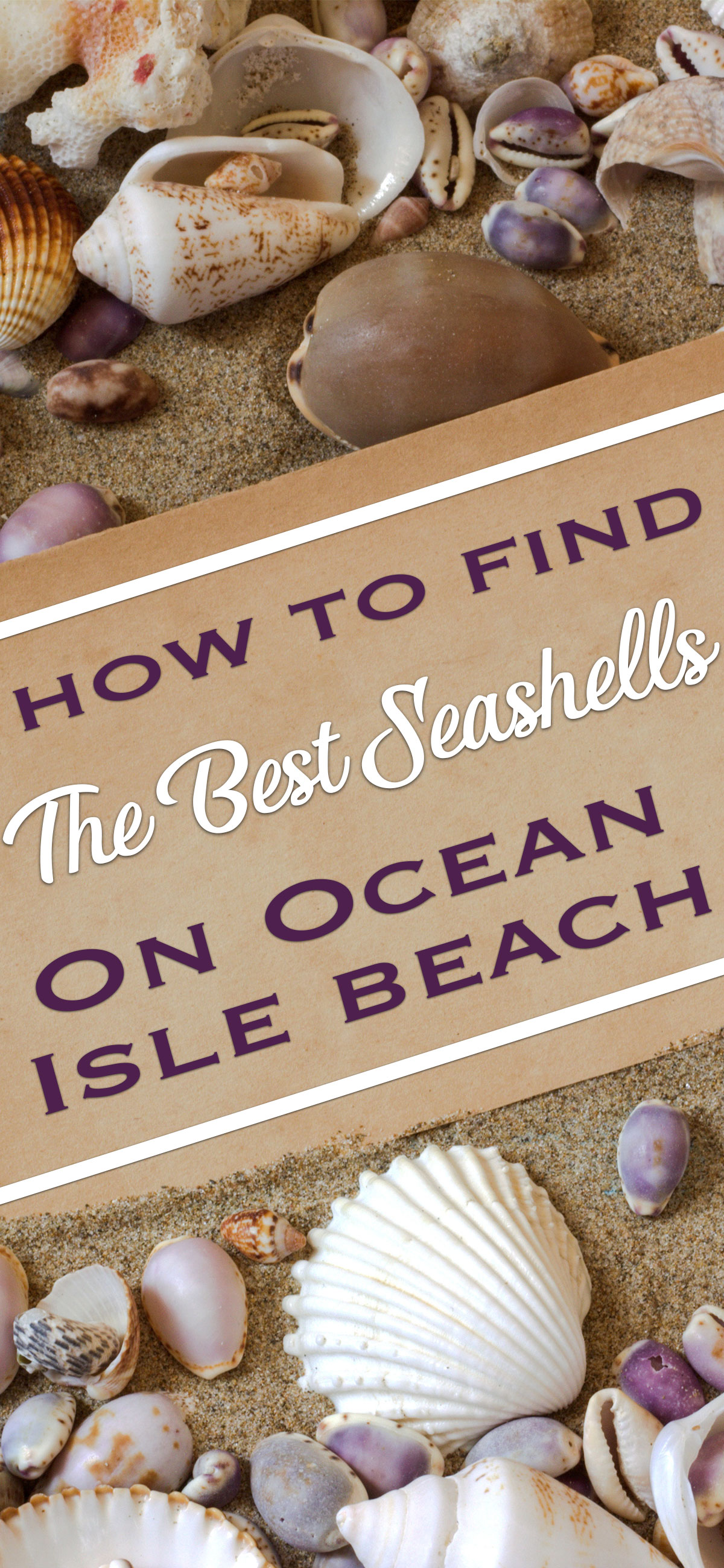 How to Score the Best Seashells on Ocean Isle Beach Pin