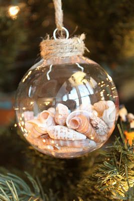 Seashell Ornament