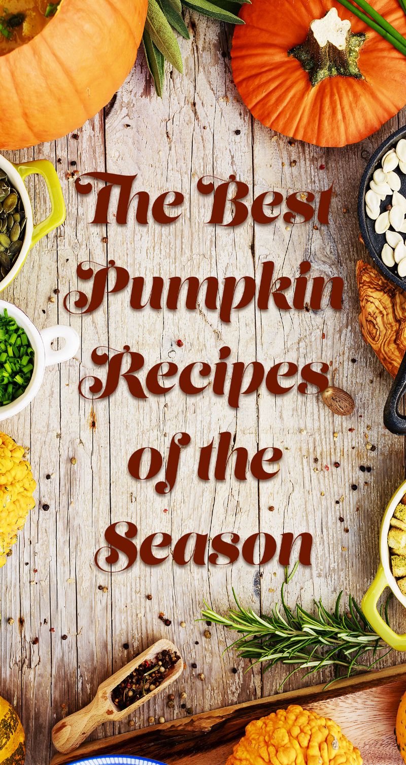 The Best Pumpkin Recipes of the Season