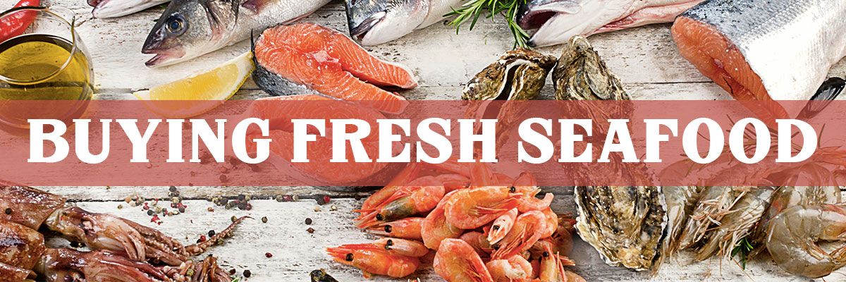 The Best Fresh Seafood