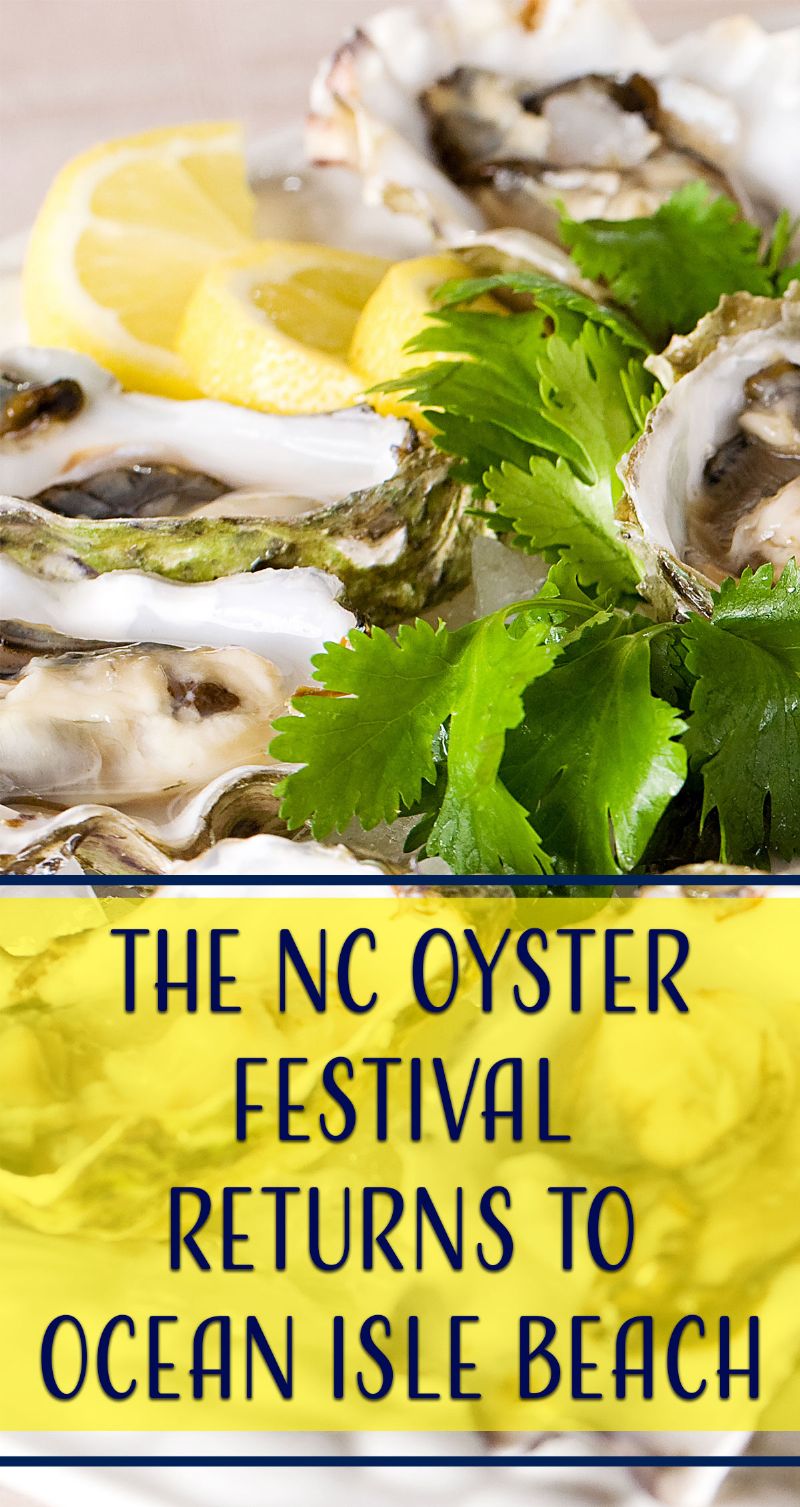 Oyster Festival Pin