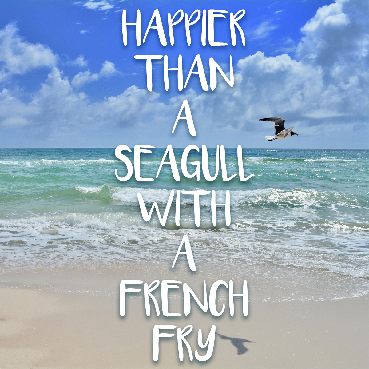 Happier than a seagull with a french fry