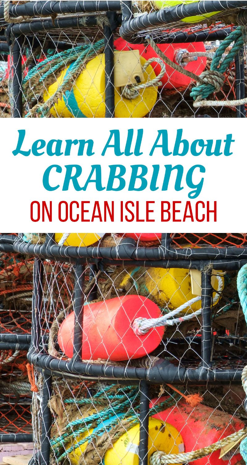 Crabbing on Ocean Isle Beach