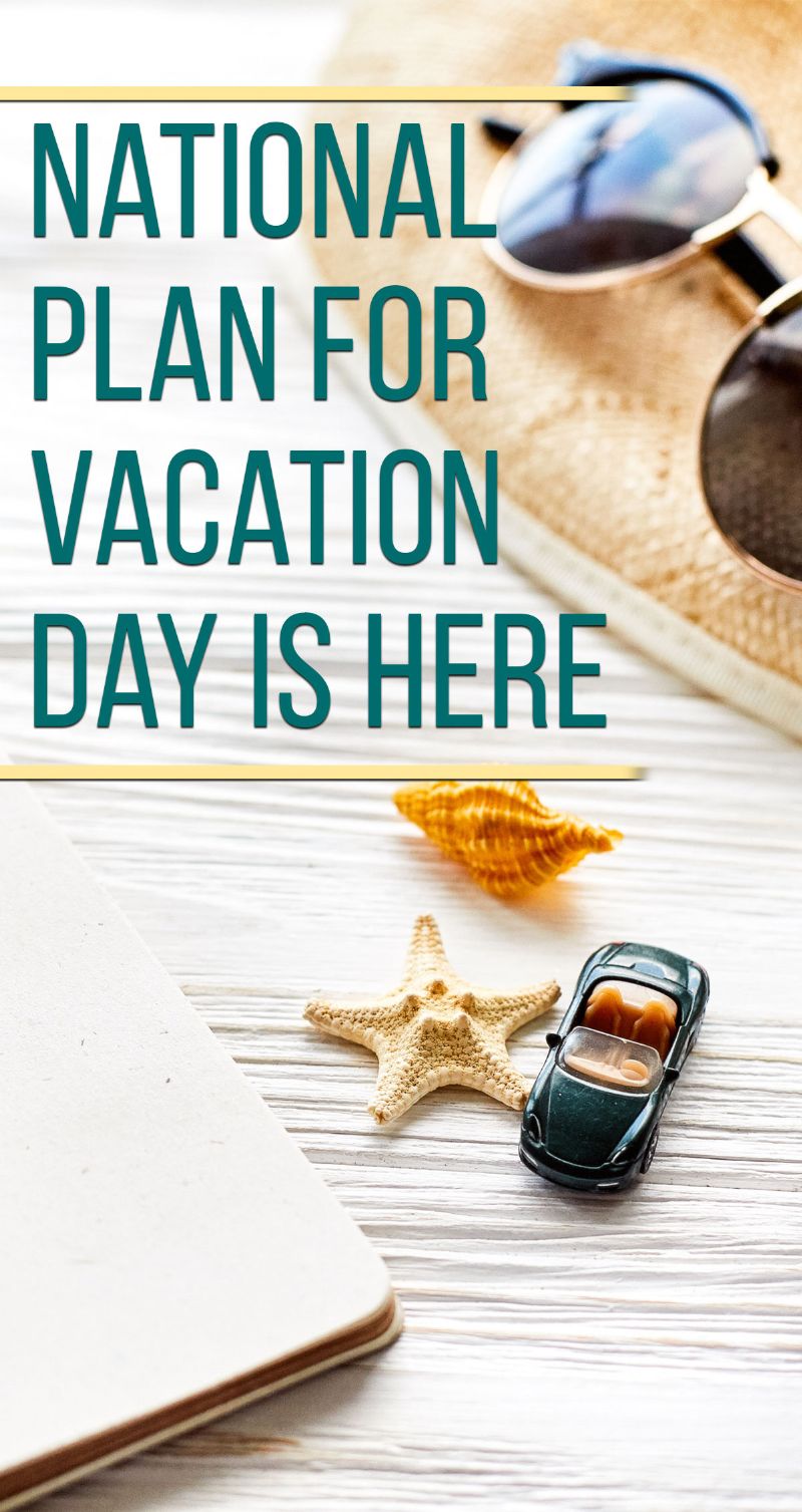National Plan For Vacation Day Pin