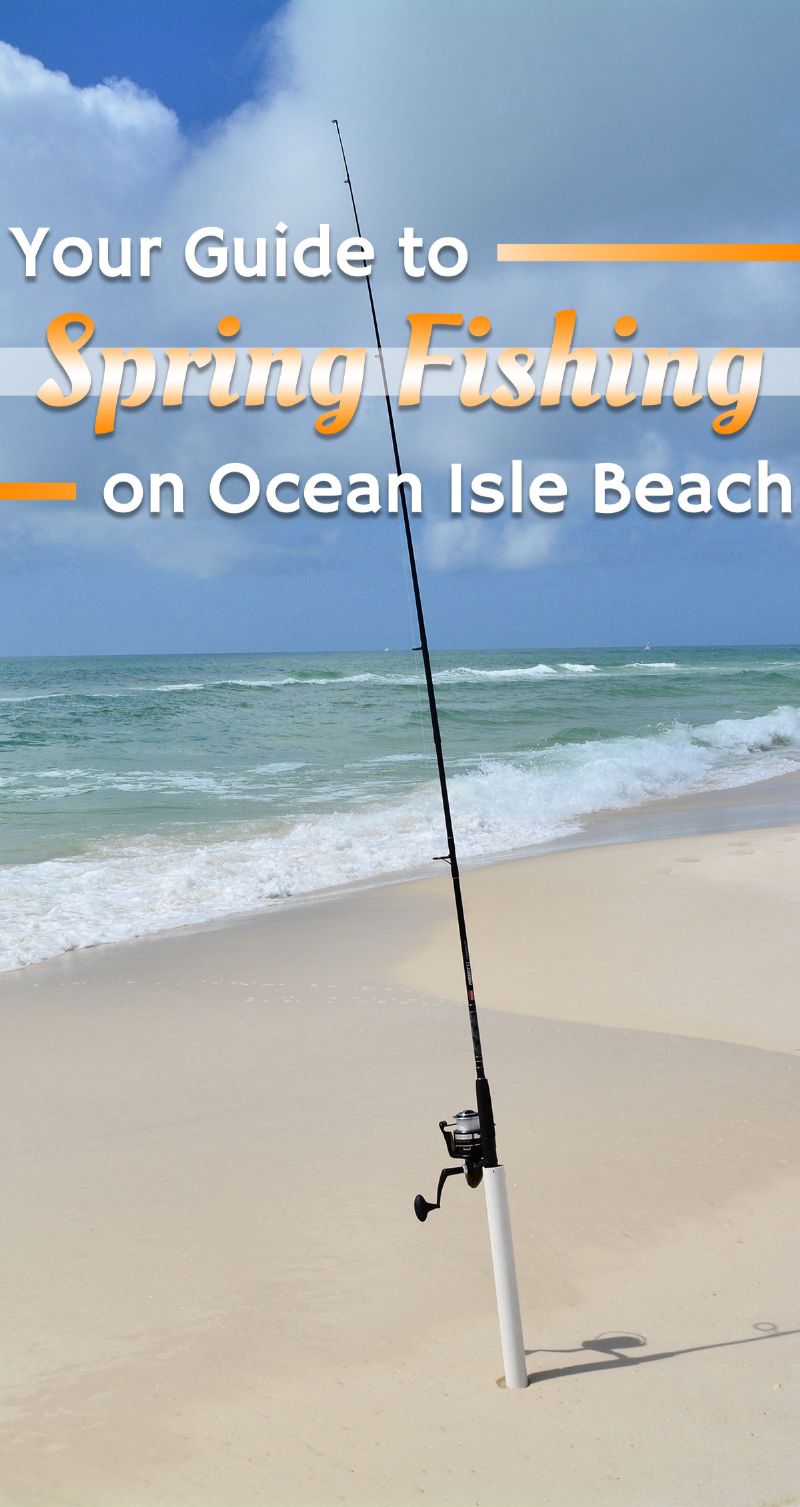Spring Fishing Pin