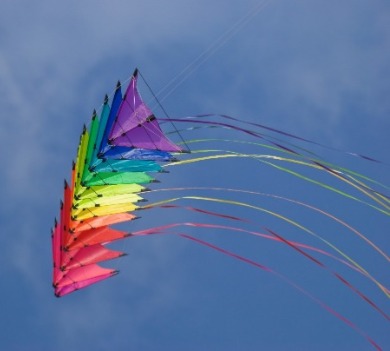 rainbow colored kite flying | Williamson Realty