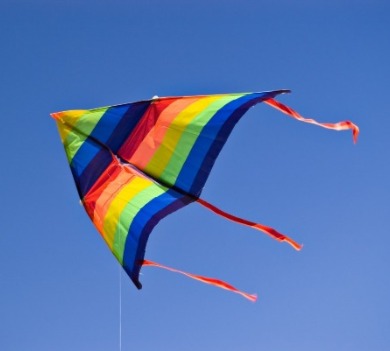 rainbow delta kite | Williamson Realty