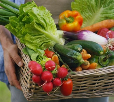 fresh vegetables | Williamson Realty