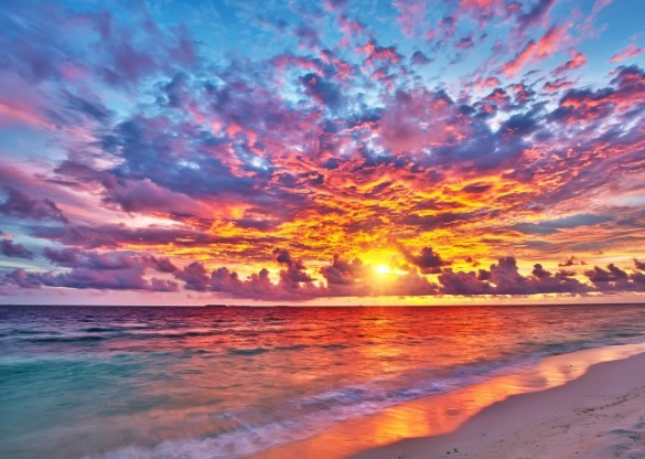 stunning sunset over the ocean | Williamson Realty