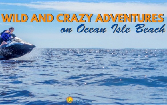 Wild and Crazy Adventures on OIB | Williamson Ocean Isle Beach NC rentals