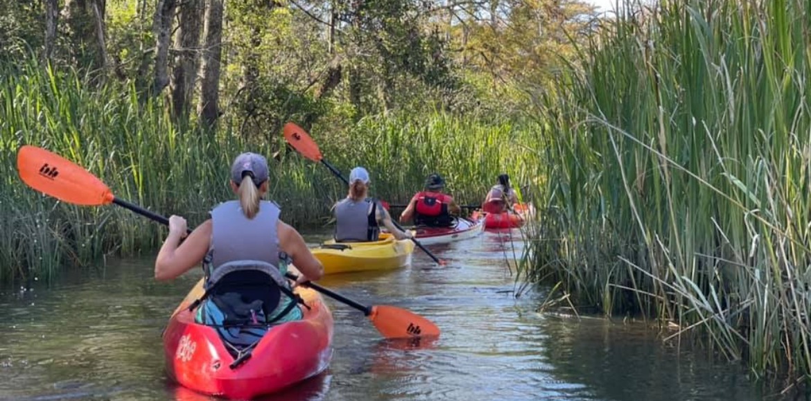 Cypress Swamp Kayak Eco Tour | Williamson Realty Ocean Isle Beach NC rentals