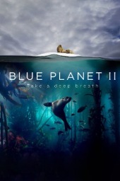 Blue Planet & Blue Planet II | Williamson Ocean Isle Beach Vacation Rentals