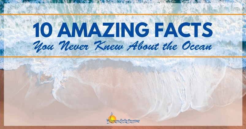 10 Amazing Facts You Never Knew About the Ocean | Williamson Realty Vacations