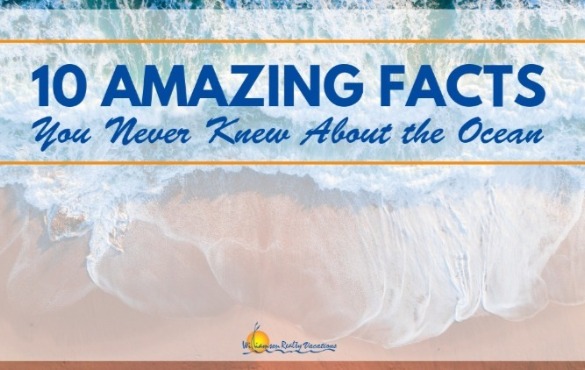 10 Amazing Facts You Never Knew About the Ocean | Williamson Ocean Isle Beach NC rentals
