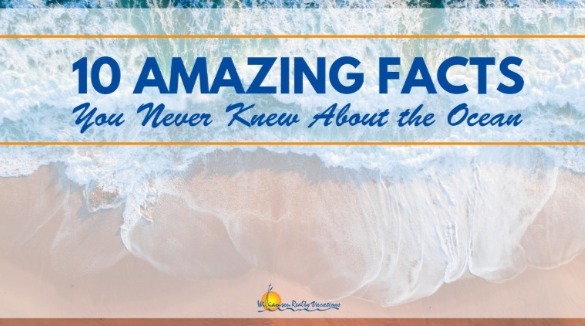 10 Amazing Facts about the Ocean | Williamson Realty Ocean Isle Beach Vacation Rentals