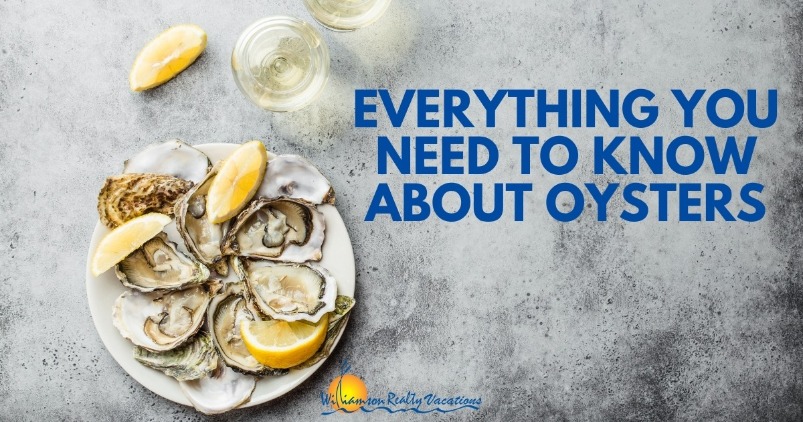 Everything You Need to Know About Oysters