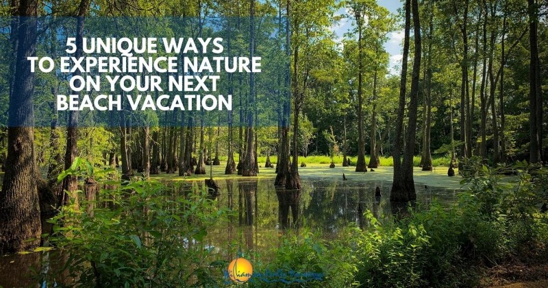 5 Unique Ways to Experience Nature on Your Next Beach Vacation