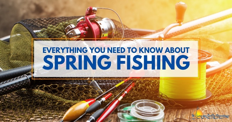 Everything You Need to Know About Spring Fishing 