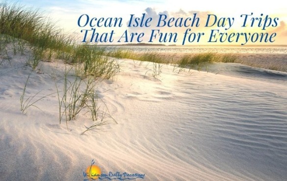 Ocean Isle Beach Day Trips That Are Fun for Everyone | Williamson Ocean Isle Beach NC rentals