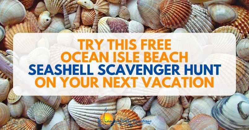 Try This Free Ocean Isle Beach Seashell Scavenger Hunt on Your Next Vacation