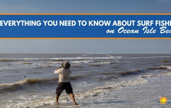 Everything You Need to Know About Surf Fishing on Ocean Isle Beach | Williamson Realty Vacations