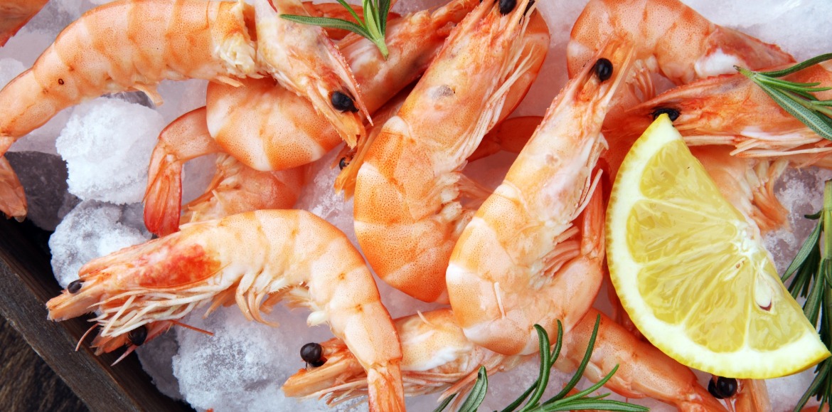 fresh caught shrimp on ice | Williamson Realty