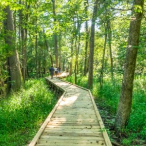 Boardwalk through a nature preserve | Williamson Realty Ocean Isle Beach NC Rentals
