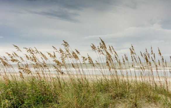 sea oats ocean isle beach, nc | WIlliamson Realty Vacations