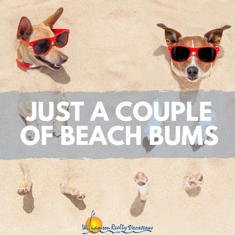 beach quotes | Williamson Realty Vacations