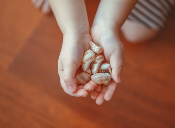 3. Make seashell crafts | Williamson Realty Vacations