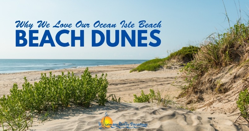 Why We Love Our Ocean Isle Beach Beach Dunes | Williamson Realty Vacations