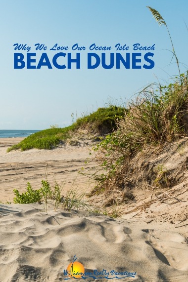 Why We Love Our Ocean Isle Beach Beach Dunes | Williamson Realty Vacations
