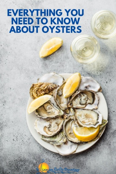 Everything You Need to Know About Oysters