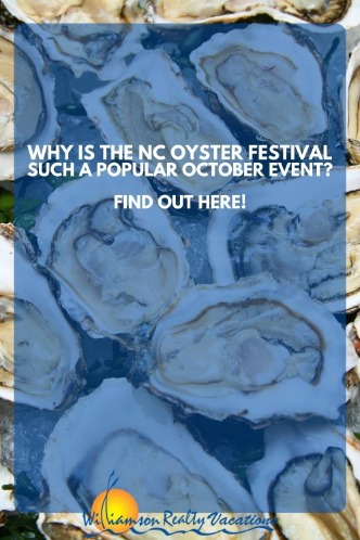 Why is the NC Oyster Festival Such a Popular October Event? Find Out Here!