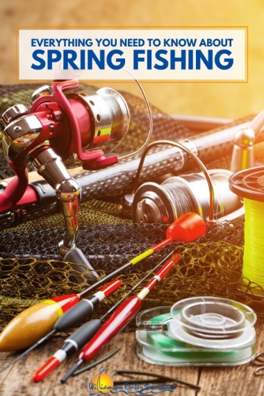 Everything You Need to Know About Spring Fishing 