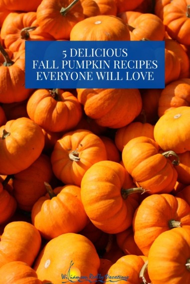 5 Delicious Fall Pumpkin Recipes Everyone Will Love