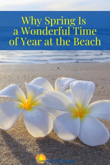 Why Spring Is a Wonderful Time of Year at the Beach