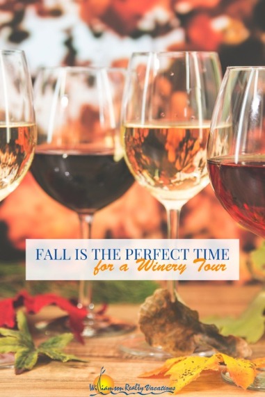 Fall is the Perfect Time for a Winery Tour