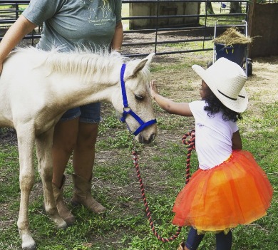 Ponies and pumpkins event at Grace Wynds Wild Horse Preserve | Williamson Realty Vacations Ocean Isle Beach Rentals