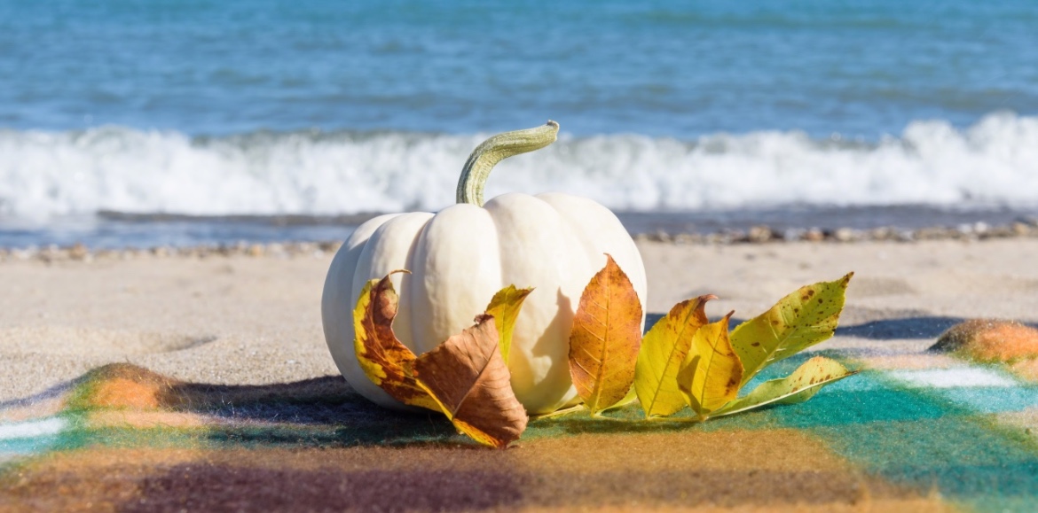 White pumpkin with colorful fall leaves and blanket on the beach Ocean Isle Beach Activities and Things To Do That Are Perfect for Autumn Header | Williamson Realty Ocean Isle Beach NC Vacation Rentals
